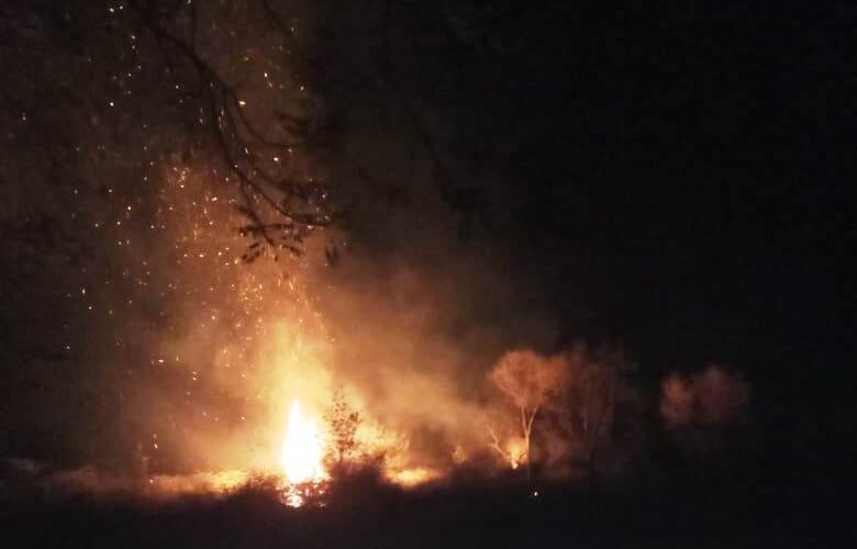 चंगेड़ी पंचायत का 400 बीघा वन क्षेत्र आया आग की चपेट में,खेतों में खड़ी फसलें भी आई चपेट में