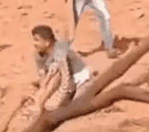 डूंगरपुर में तेंदुए और मीडियाकर्मी के बीच चली पांच मिनट तक जंग