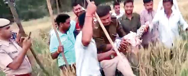 किसान पर हमला करने वाले तेंदुए को सात घंटे की मशक्कत के बाद पकड़ा 