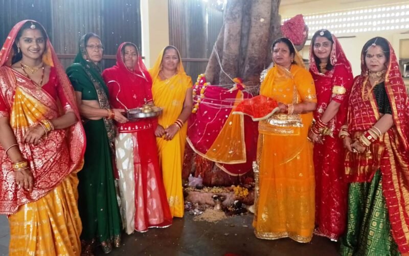 दशामाताः पीपल की पूजा कर मांगी परिवार की खुशहाली,दशामाता के स्थानकों पर पूजन के लिए सज-धज कर पहुंची महिलाएं