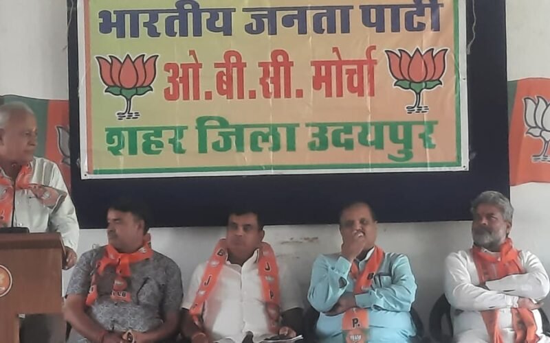 भाजपा ओबीसी मोर्चा सामाजिक बैठक शहर जिला उदयपुर