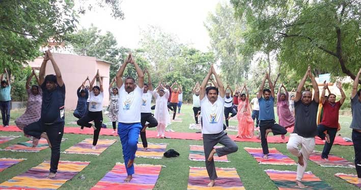  योग केवल आंतरिक पूर्णता ही नहीं अपितु पंच तत्वों के संतुलन की क्रिया भी –  प्रो. सारंगदेवोत