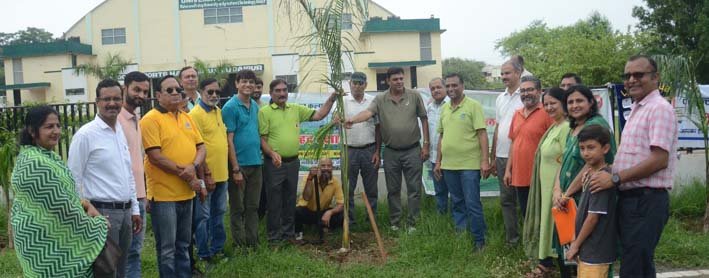 लायंस क्लबों ने 200 फलदार एवं छायादार वृक्षारोपण किया