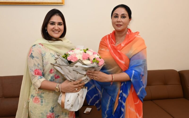 उप मुख्यमंत्री दीया कुमारी से कला, साहित्य व संस्कृति विषयक पर चर्चा