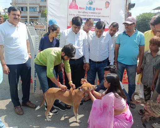 विश्व रेबीज दिवस पर श्वानों को लगाए टीके
