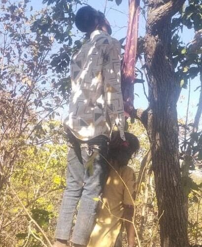 स्कूली छात्र-छात्रा के शव पेड़ से लटके मिले, परिवार ने जताई हत्या की आशंका