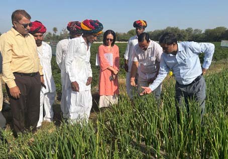 भीलवाड़ा:जापान इंटरनेशनल कॉर्पोरेशन  एजेंसी (JICA) टीम हुई किसानों से रूबरू