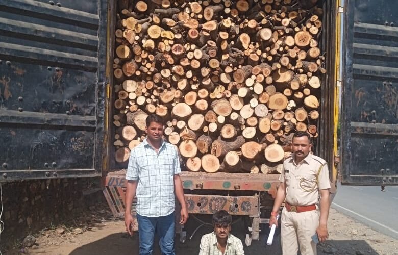 वन विभाग की कार्यवाही में 18 टन गीली लकड़ी जब्त