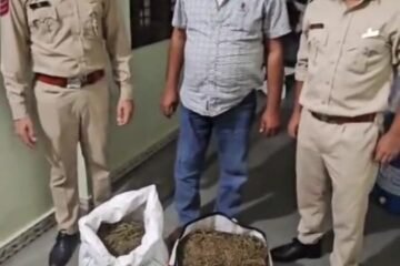 ग्राम-मेलखेड़ा,शामगढ़,मंदसौर घर पर छापा मारकर 11.120 किलोग्राम अवैध गांजा बरामद किया