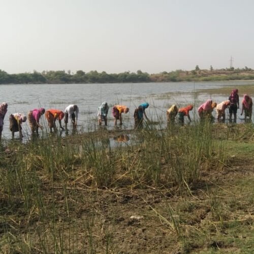 डूंगरपुर जिले के तालाबों को जन भागीदारी के सहयोग से स्वच्छ और सुंदर बनाएंगे : जिला कलेक्टर सिंह