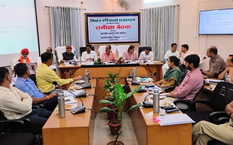 योजनाओं का धरातल पर तीव्र गति से हो क्रियान्वयन – प्रभारी मंत्री मीणा