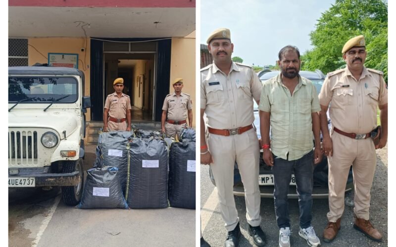 चित्तौड़गढ़ पुलिस की मादक पदार्थ और अवैध हथियार तस्करों के खिलाफ बड़ी कार्रवाई