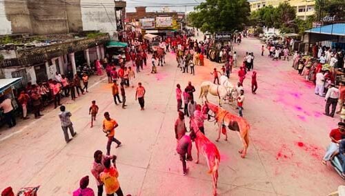 सुविख्यात कृष्णधाम सांवलियाजी में जलझूलनी मेले का हुआ शुभारम्भ