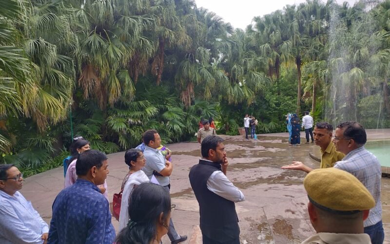 जिला कलेक्टर ने किया सहेलियों की बाड़ी का अवलोकन