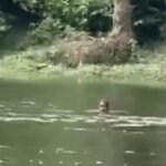 भारी बारिश से उदयपुर में जनजीवन अस्त-व्यस्त, नदी में बहे वृद्ध का शव मिला, हाईवे पर लैंडस्लाइड से यातायात ठप
