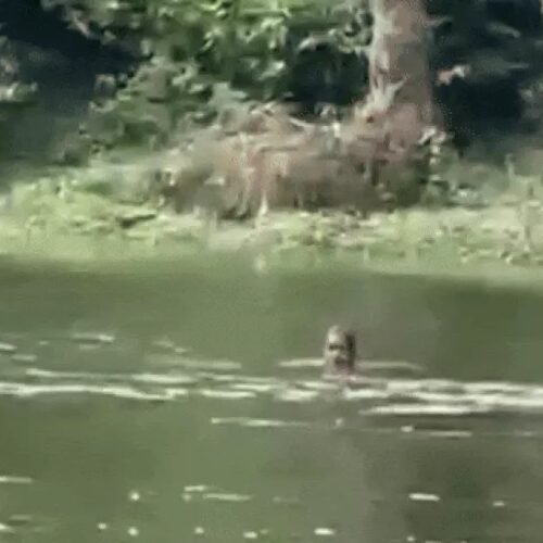 भारी बारिश से उदयपुर में जनजीवन अस्त-व्यस्त, नदी में बहे वृद्ध का शव मिला, हाईवे पर लैंडस्लाइड से यातायात ठप