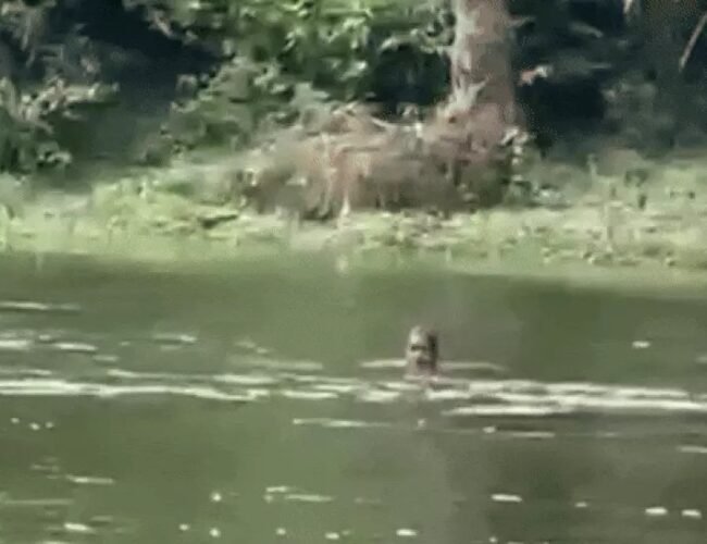 भारी बारिश से उदयपुर में जनजीवन अस्त-व्यस्त, नदी में बहे वृद्ध का शव मिला, हाईवे पर लैंडस्लाइड से यातायात ठप