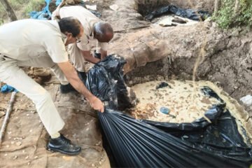 प्रदेश में हजारों लीटर वॉश एवं भट्टियां नष्ट