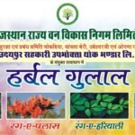 होली पर रखें स्वयं एवं पर्यावरण का ख्याल – हर्बल गुलाल से खेलें होली