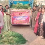 गौ शाला में गायों को हरा चारा खिलाया