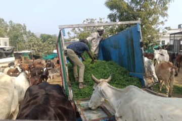गौ सेवा के साथ मनाया राष्ट्र संत परम गौ भक्त कमल मुनि कमलेश का जन्मोत्सव