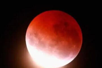 चंद्रग्रहण का असर: उदयपुर के मंदिरों में नहीं खेली गई होली, शाम को शुद्धिकरण के बाद खुले कपाट