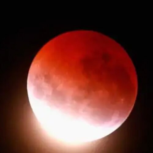 चंद्रग्रहण का असर: उदयपुर के मंदिरों में नहीं खेली गई होली, शाम को शुद्धिकरण के बाद खुले कपाट