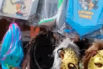 उदयपुर में होली पर पुष्पा का हथौड़ा और ऑपरेशन सिंदूर