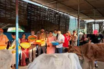 अपना घर गौशाला में पाँचवाँ छप्पन भोग सम्पन्न, 150 बीमार व घायल गौमाता को अर्पित हुआ विशेष प्रसाद