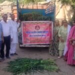 महिलाओं ने गायों को खिलाया हरा चारा