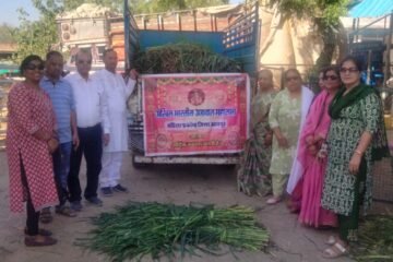 महिलाओं ने गायों को खिलाया हरा चारा