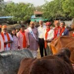 “छप्पन भोग से प्रसन्न होते हैं 33 करोड़ देवताः बलिचा गौशाला में आस्था, सेवा और संस्कृति का भव्य संगम