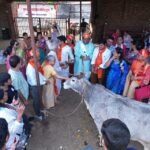 उदयपुर में गौ माता का भव्य ‘छप्पन भोग’ आयोजन, 500 से अधिक गौभक्त हुए शामिल