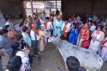 उदयपुर में गौ माता का भव्य ‘छप्पन भोग’ आयोजन, 500 से अधिक गौभक्त हुए शामिल