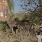 साले ने की जीजा की हत्या, जंगल में ले जाकर पत्थर से सिर कुचला