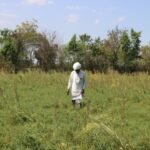 आईसीएआर-केंद्रीय बारानी कृषि अनुसंधान संस्थान (ICAR-CRIDA), हैदराबाद के 42वें स्थापना दिवस पर श्री हुक्मी चंद गाड़री को मिला ‘बेस्ट फार्मर अवॉर्ड’