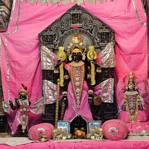 16 जुलाई को भगवान जगन्नाथ स्वामी निकलेंगे शाही अंदाज मे उदयपुर नगर भ्रमण पर
