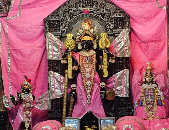 16 जुलाई को भगवान जगन्नाथ स्वामी निकलेंगे शाही अंदाज मे उदयपुर नगर भ्रमण पर