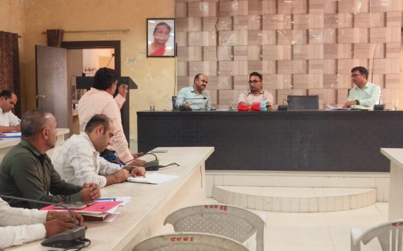 बड़गांव उपखण्ड के दौरे पर रहे जिला कलेक्टर अग्रवाल