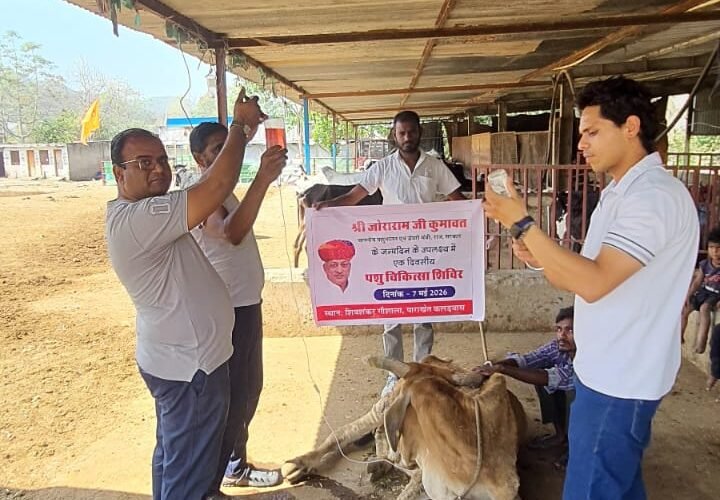 पशु सेवा का दोहराया संकल्प, चिकित्सा शिविर आयोजित
