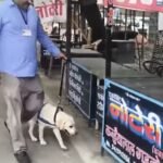मेल पर मिली उदयपुर कोर्ट को बम से उडाने की धमकी, मची अफरा तफरी