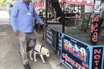 मेल पर मिली उदयपुर कोर्ट को बम से उडाने की धमकी, मची अफरा तफरी
