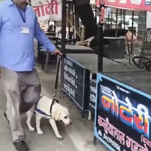 मेल पर मिली उदयपुर कोर्ट को बम से उडाने की धमकी, मची अफरा तफरी
