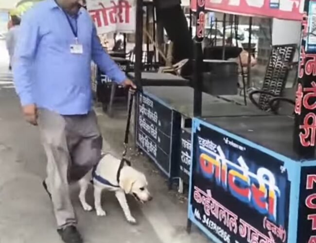 मेल पर मिली उदयपुर कोर्ट को बम से उडाने की धमकी, मची अफरा तफरी