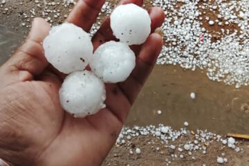 देवगढ़ क्षेत्र में कही बारिश तो कही नींबू के आकर के गिरे ओले