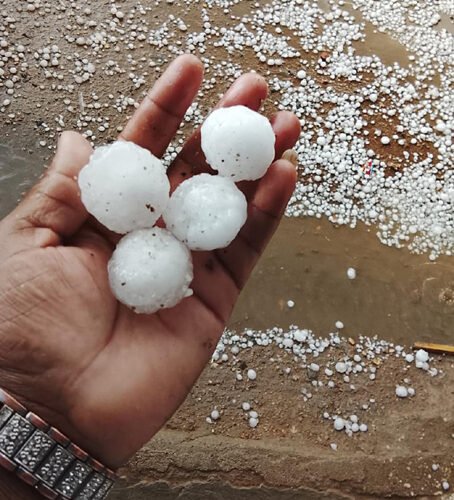 देवगढ़ क्षेत्र में कही बारिश तो कही नींबू के आकर के गिरे ओले