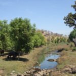 हरित क्रांति का अनूठा ‘वागड़ मॉडल’ – माही के टापुओं और अरावली की कंदराओं में ‘सीड बॉल व गुलैल’ से बीजारोपण