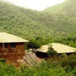 विद्या भवन का 95 वाँ स्थापना दिवस 21 जुलाई मंगलवार को 