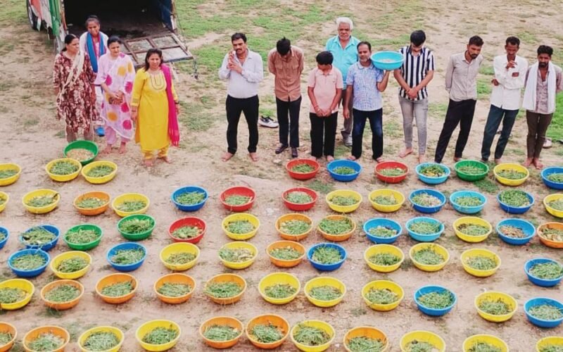 गौसेवा से जन-जन में संस्कारों की अलख, 108 गौशालाओं की ऐतिहासिक छप्पन भोग सेवा श्रृंखला का 13वां पड़ाव भव्य रूप से संपन्न