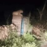 उदयपुर के बिठौली गांव में आए पैंथर से ग्रामीणों में दहशत